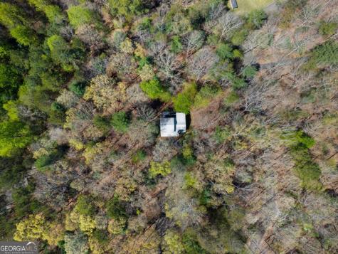 152 Misty Hollow Ridge Ellijay GA 30536