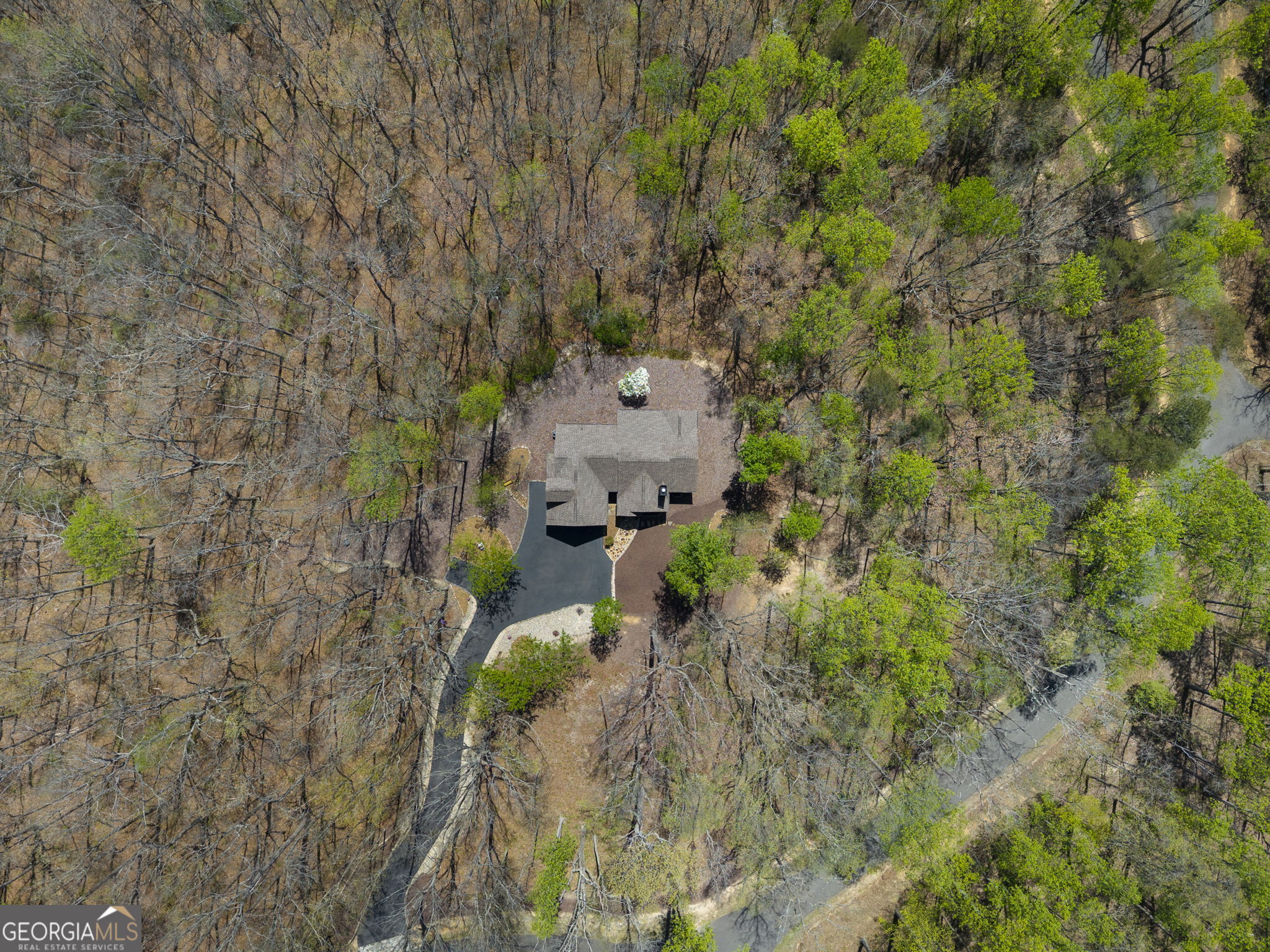 20 Northstar Lane Ellijay GA 30536