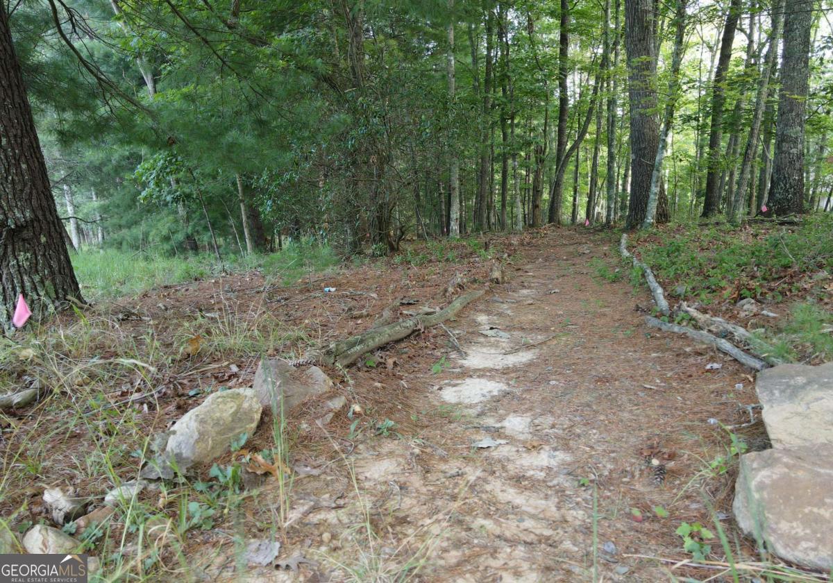 41 Old Wilscott Lane Blairsville GA 30512