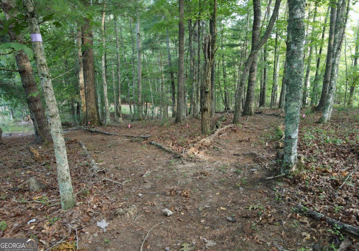 41 Old Wilscott Lane Blairsville GA 30512