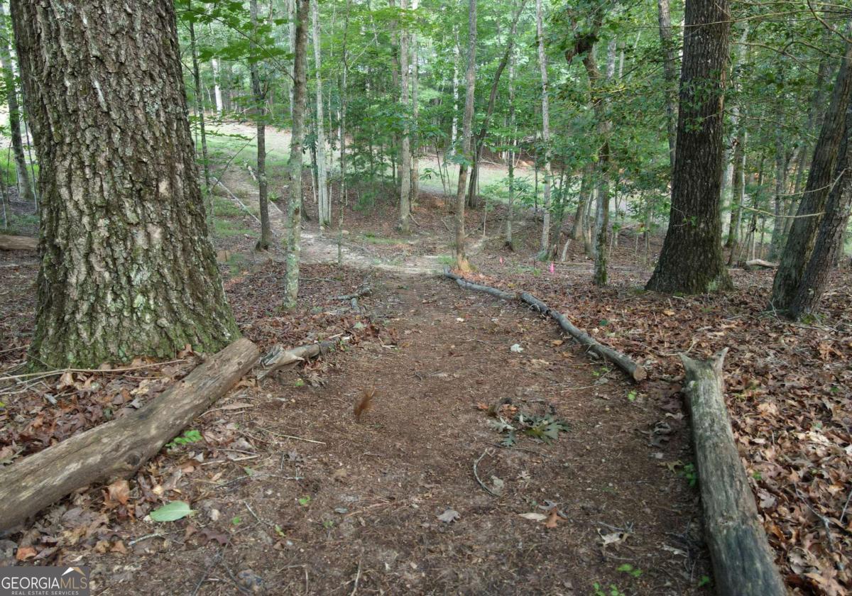41 Old Wilscott Lane Blairsville GA 30512
