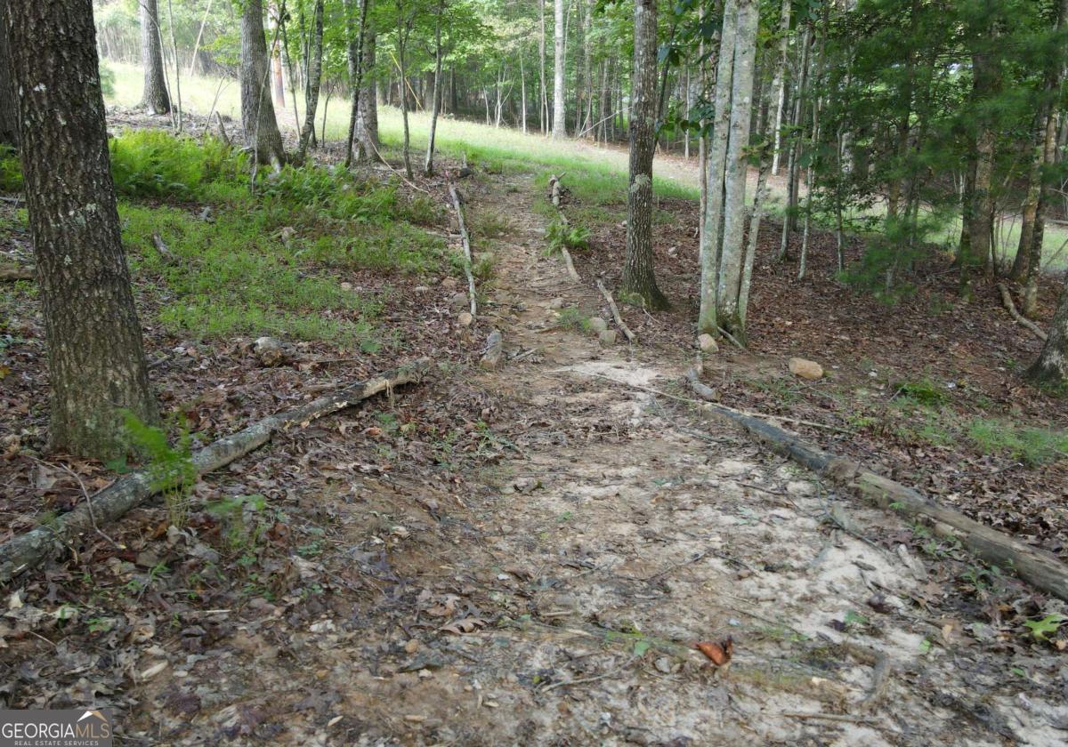 41 Old Wilscott Lane Blairsville GA 30512