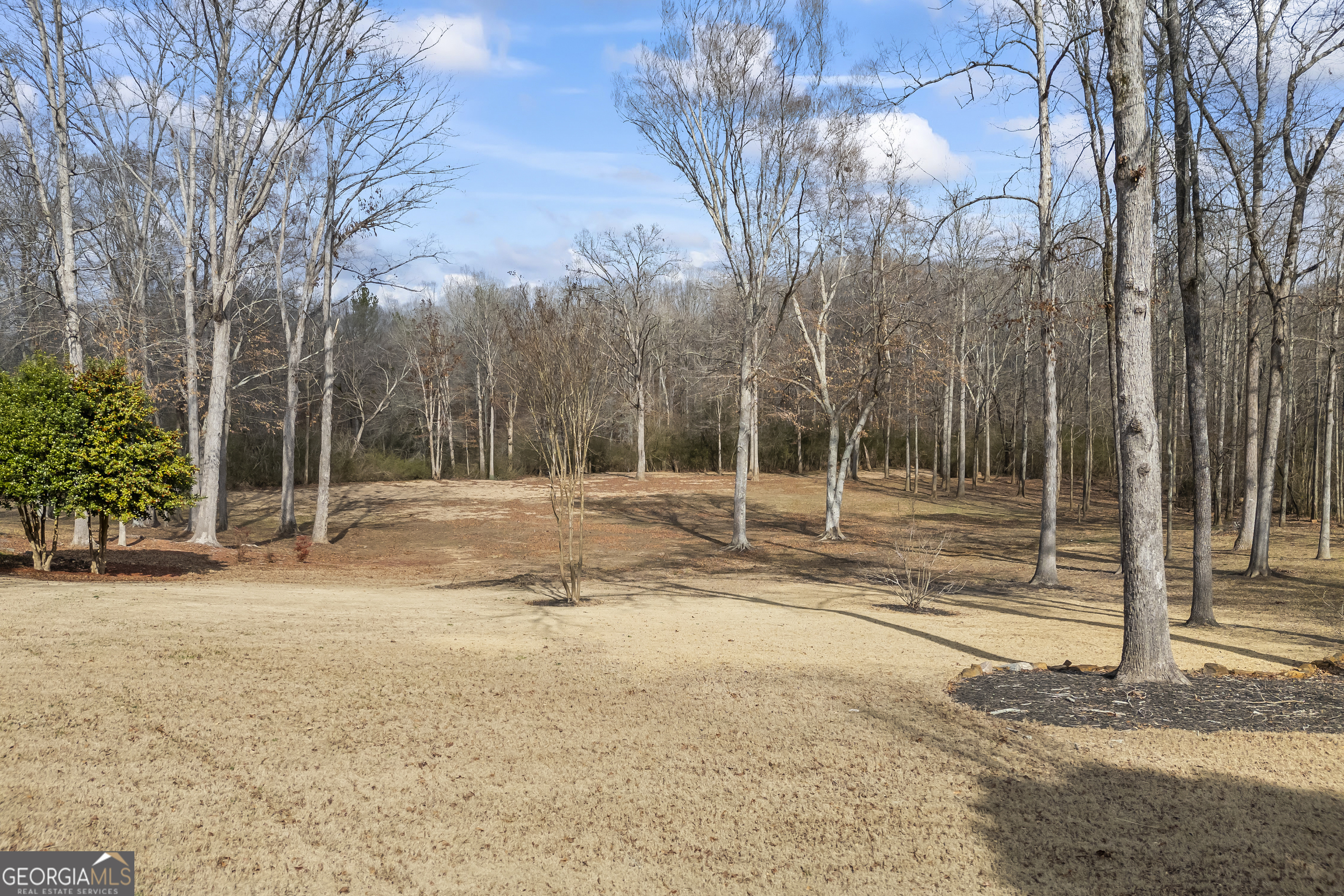 50 Red River Court Covington GA 30014