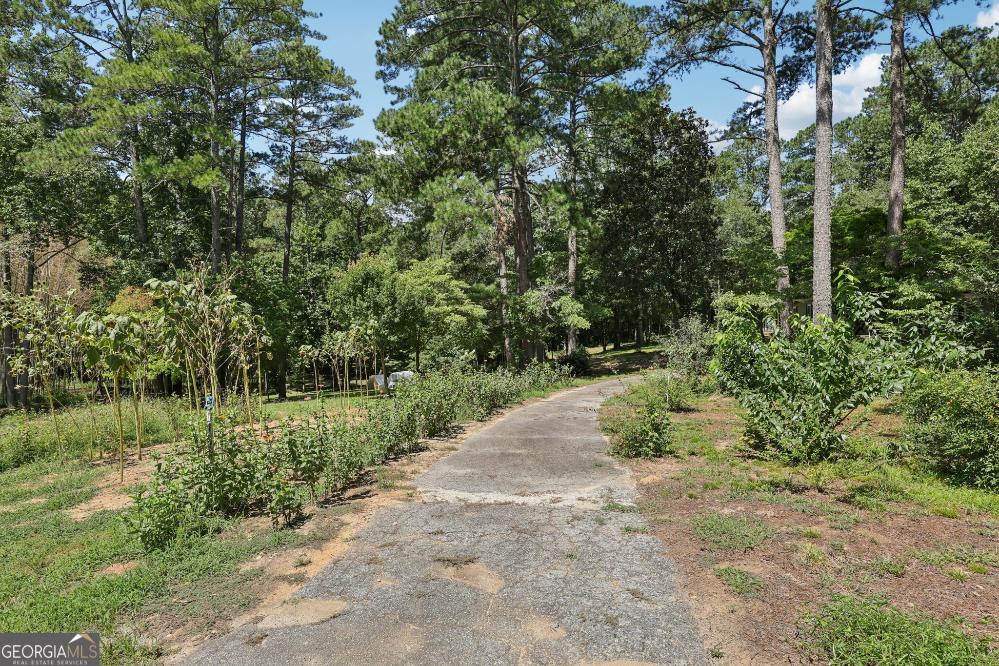 250 Stagecoach Road Oxford GA 30054