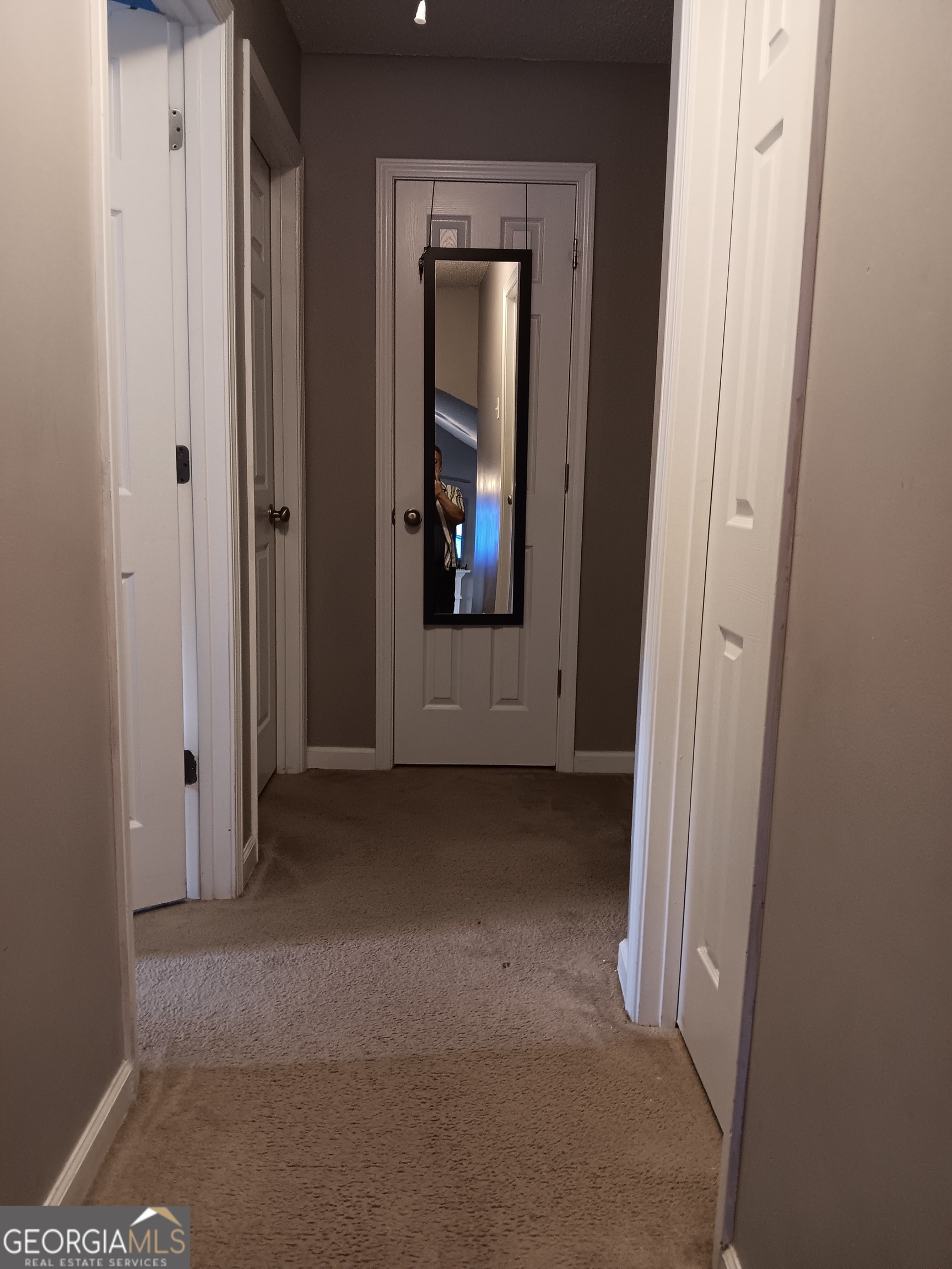 392 Ivy Hills Circle Mount Airy GA 30563