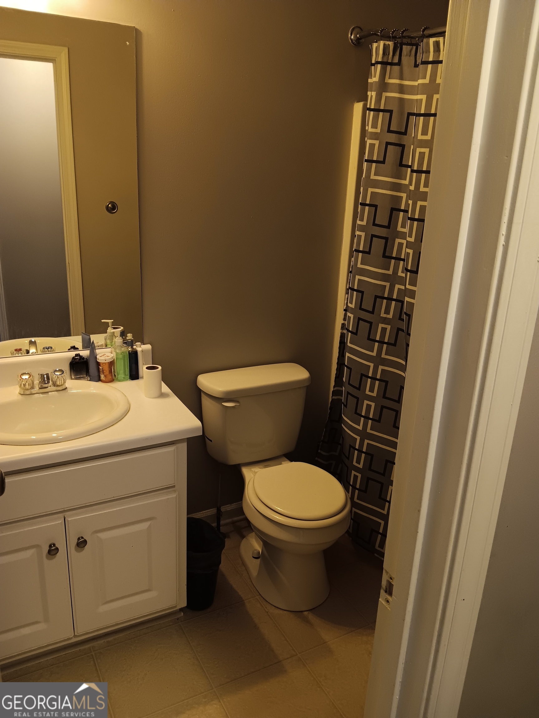 392 Ivy Hills Circle Mount Airy GA 30563
