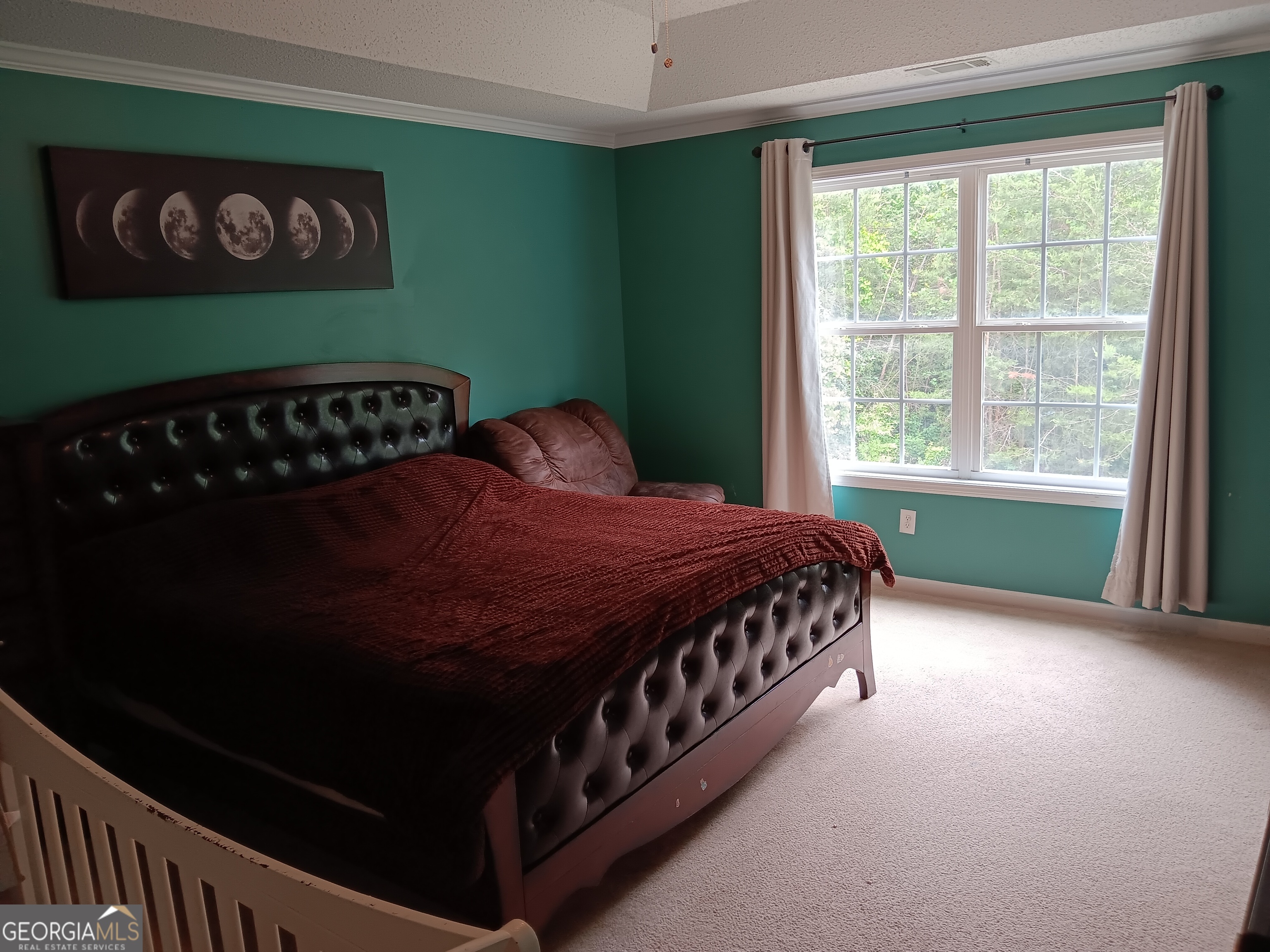 392 Ivy Hills Circle Mount Airy GA 30563