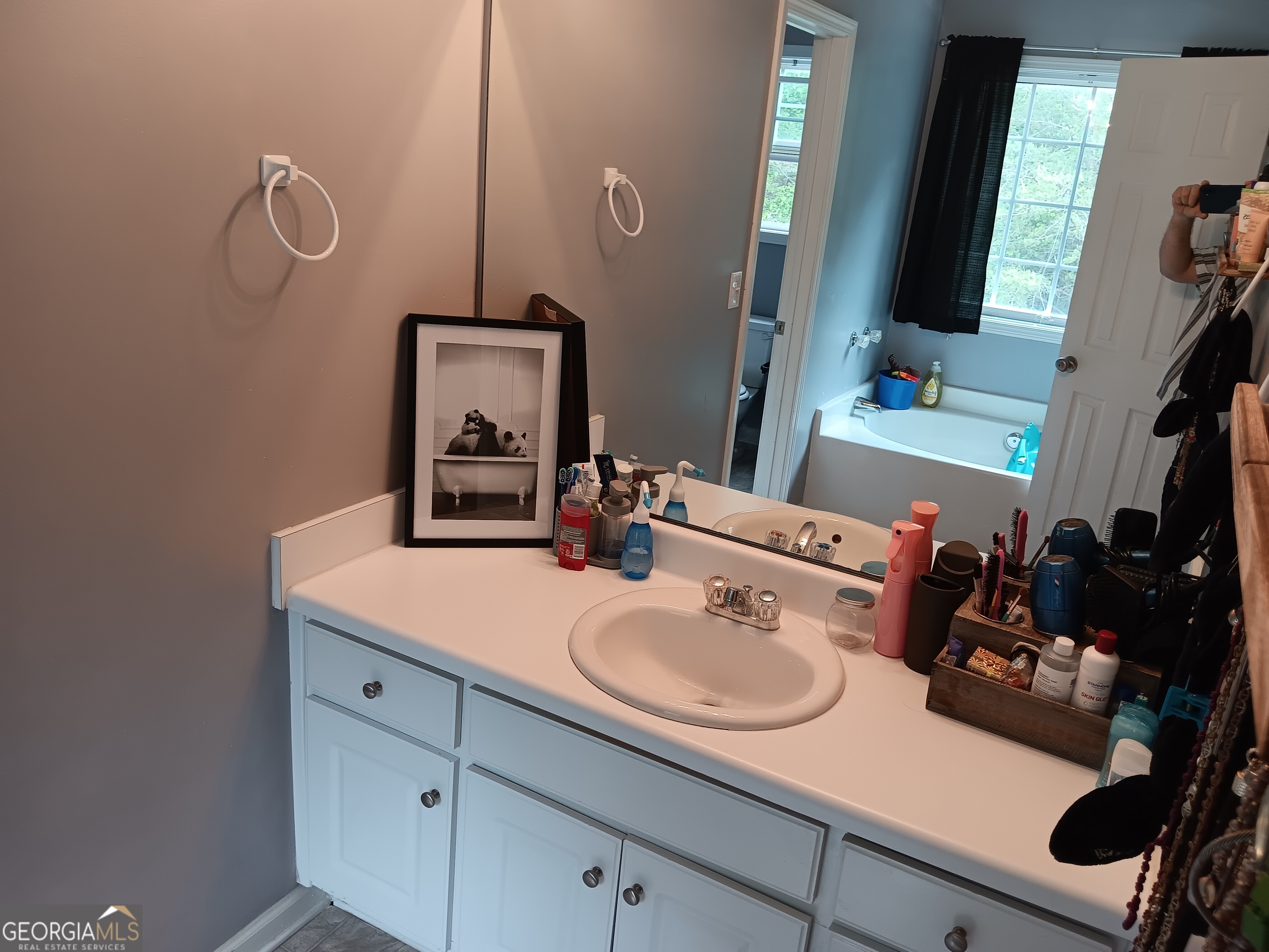 392 Ivy Hills Circle Mount Airy GA 30563