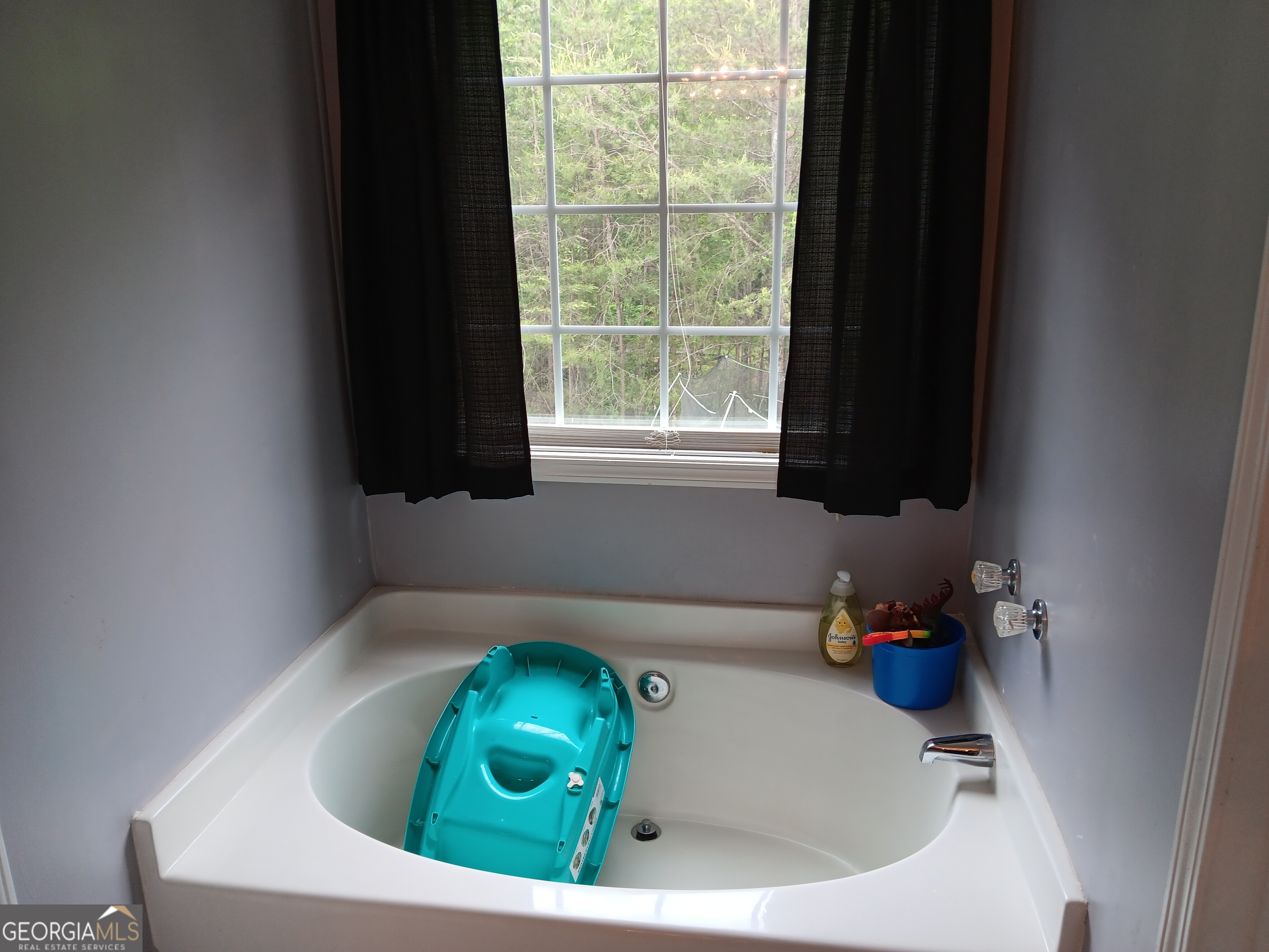 392 Ivy Hills Circle Mount Airy GA 30563