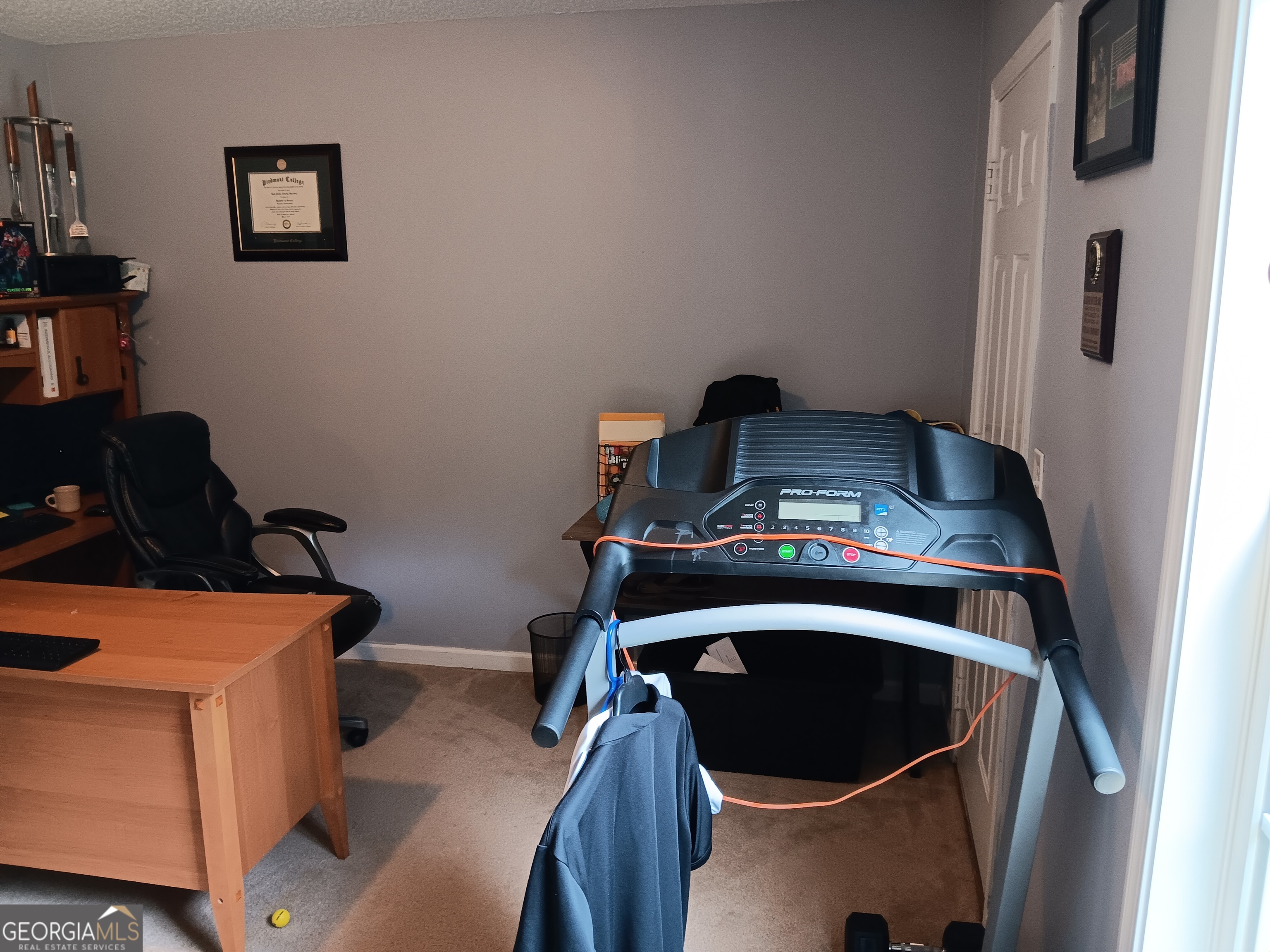 392 Ivy Hills Circle Mount Airy GA 30563