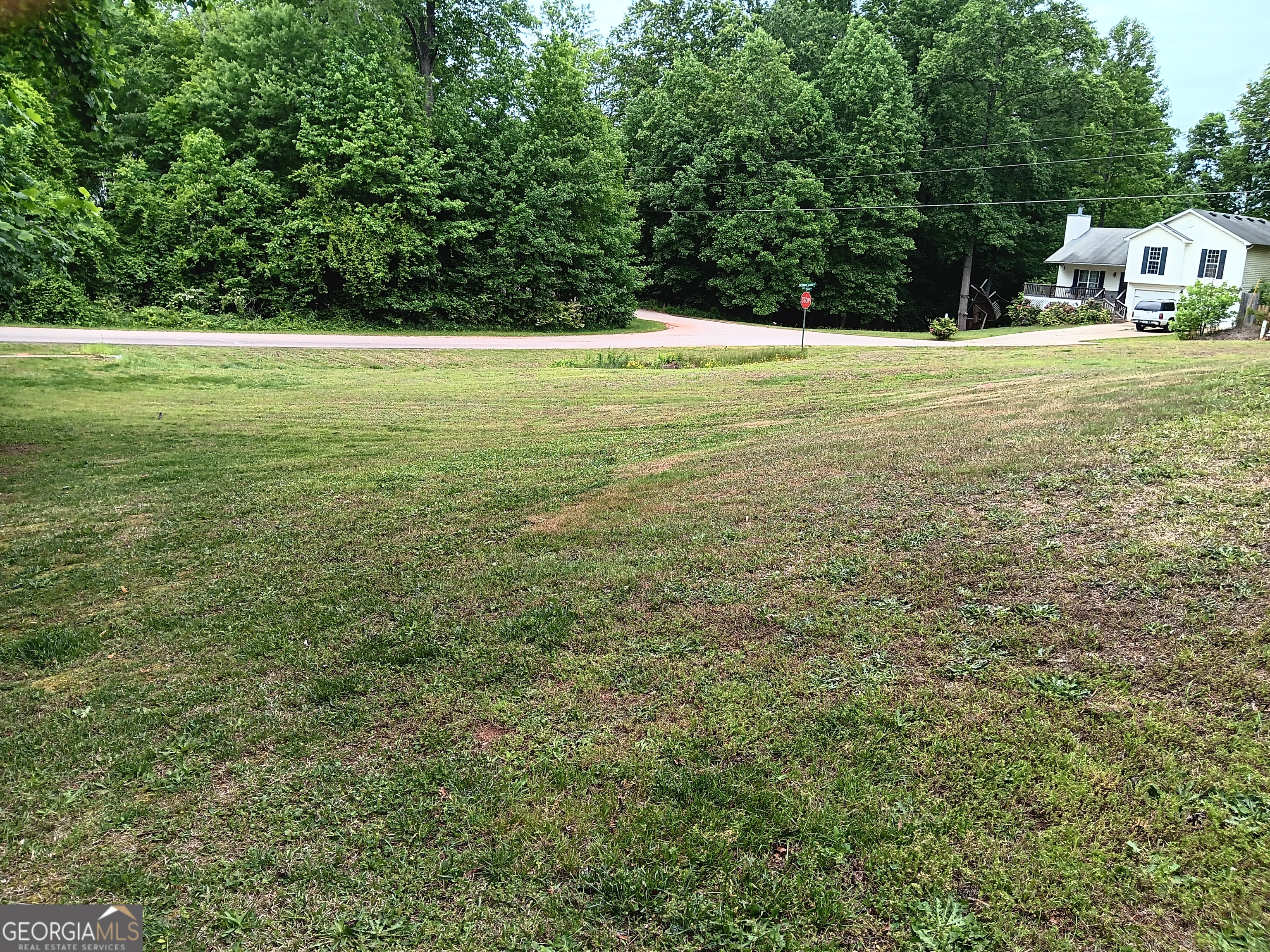 392 Ivy Hills Circle Mount Airy GA 30563