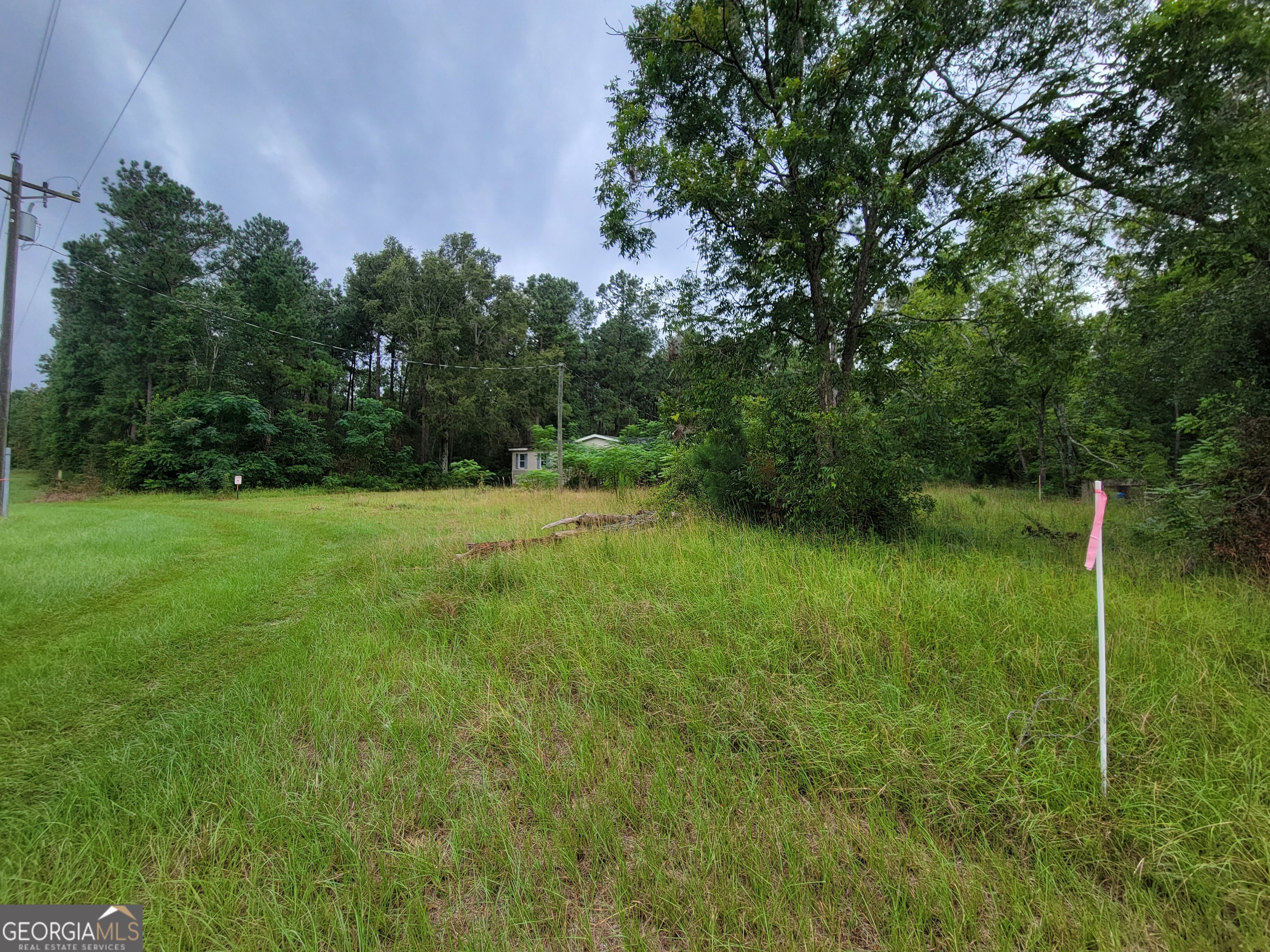 11358 Zebina Road Louisville GA 30434