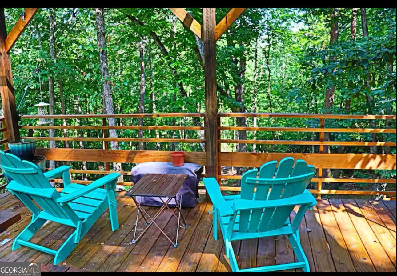 225 Overlook Circle Clarkesville GA 30523