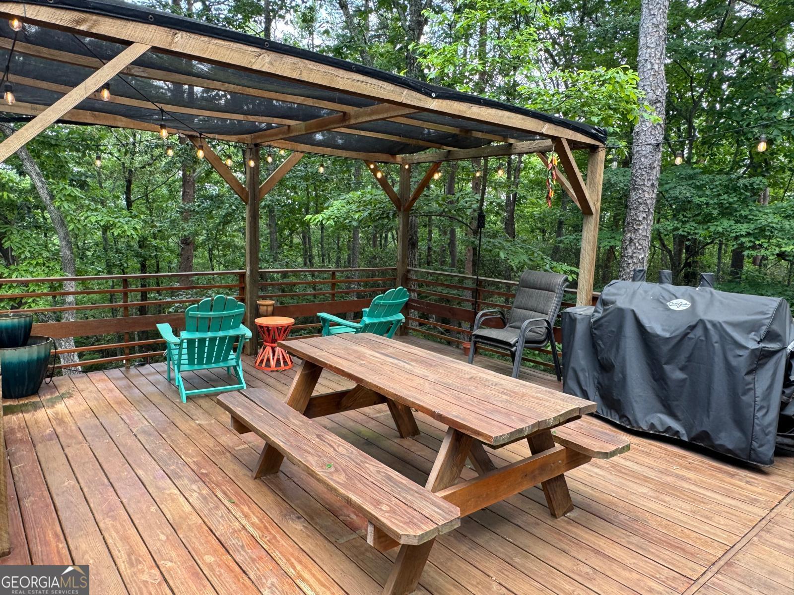 225 Overlook Circle Clarkesville GA 30523