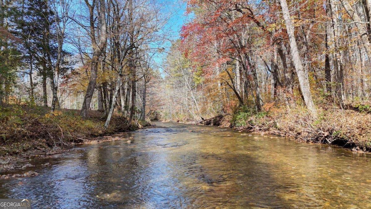 1949 Big Pine Drive Hiawassee GA 30546