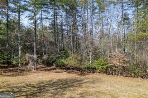 94 Kingfisher Lane Blairsville GA 30512