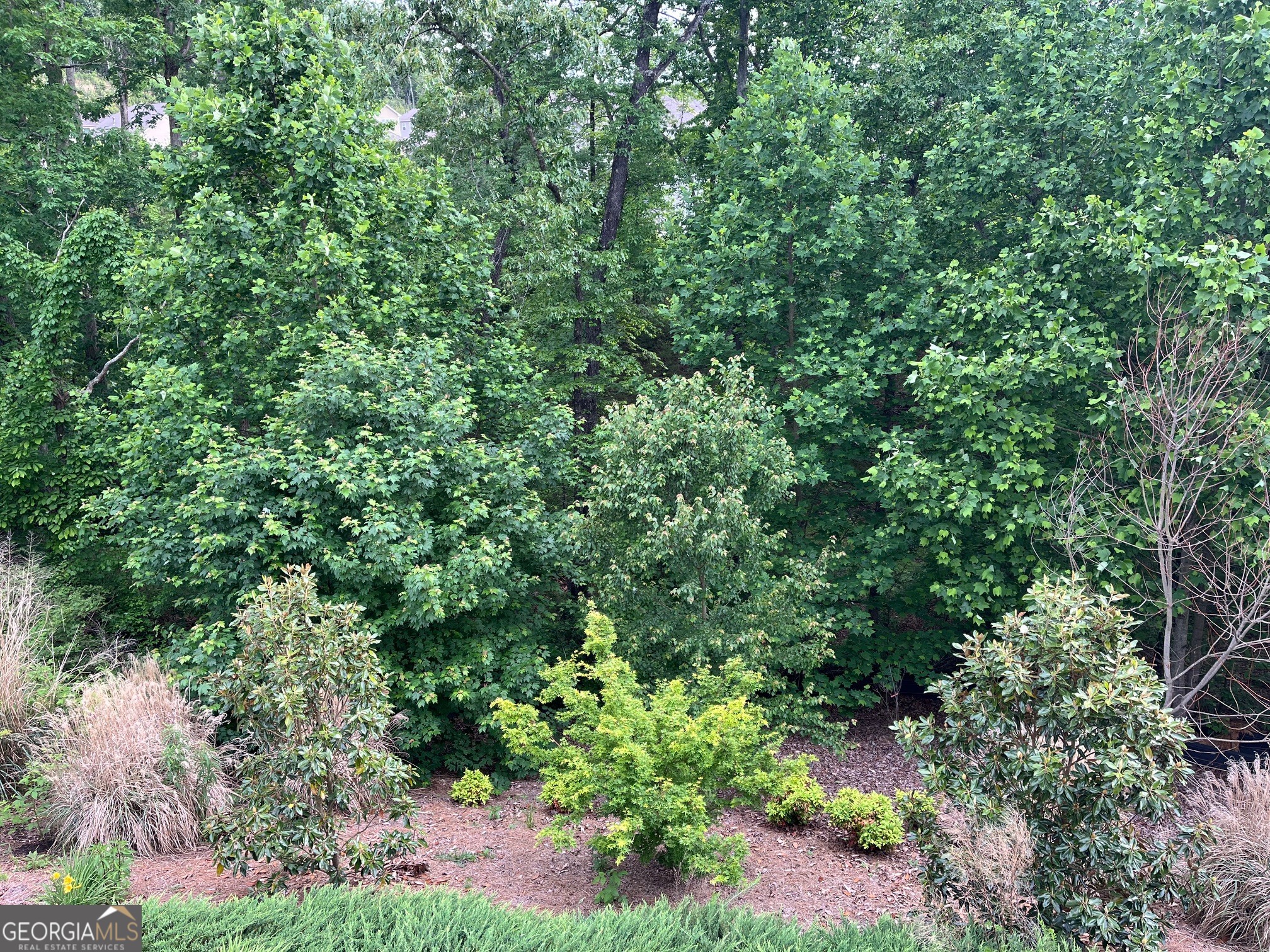 2850 Canter Meadow Drive Cumming GA 30040