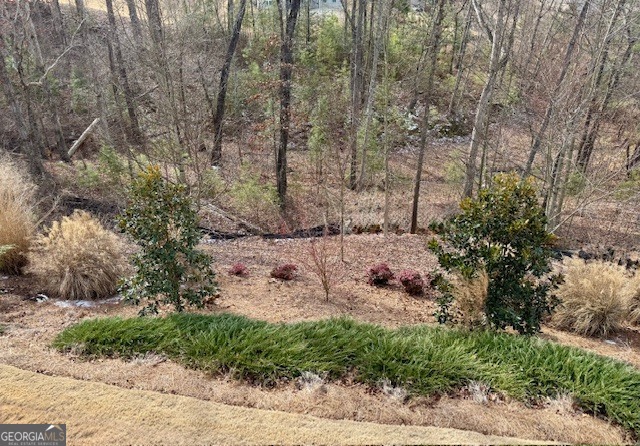 2850 Canter Meadow Drive Cumming GA 30040
