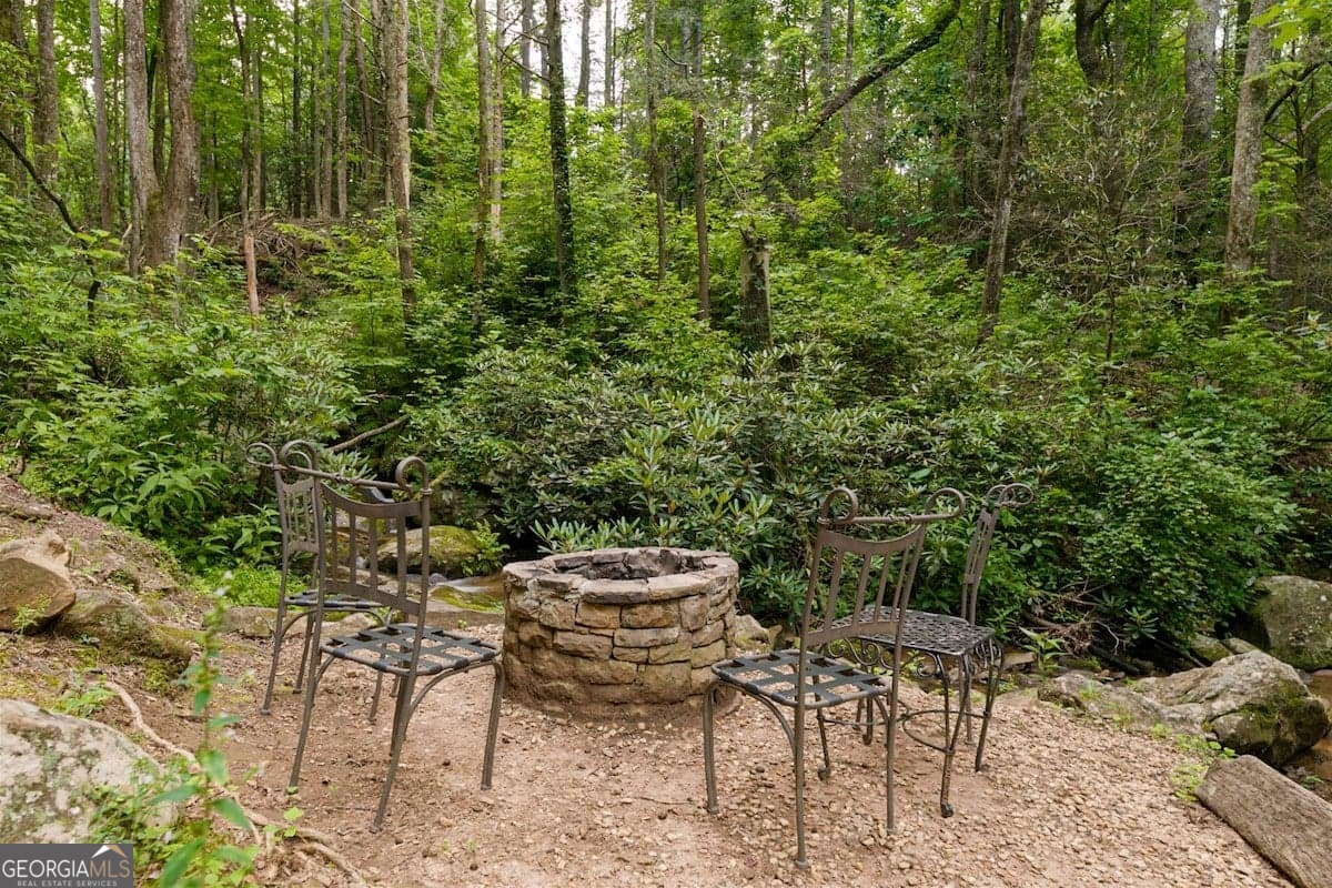 130 Mustang Creek Road Cleveland GA 30528