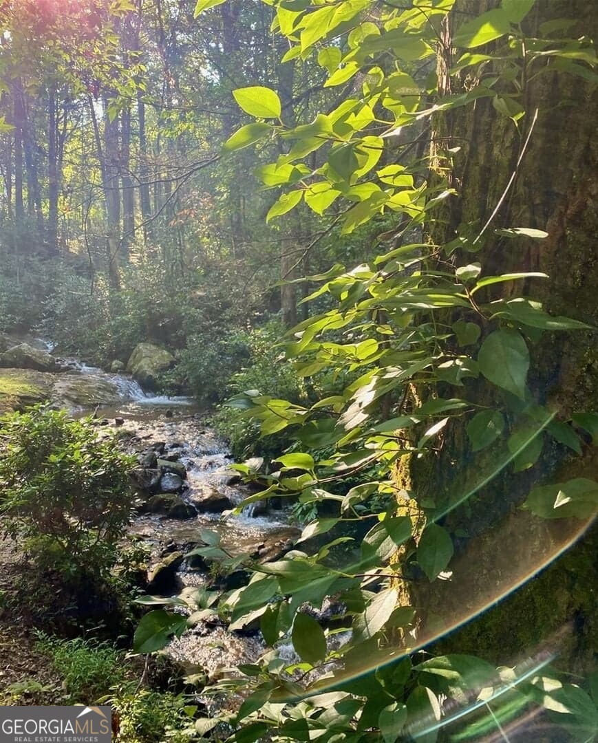 130 Mustang Creek Road Cleveland GA 30528