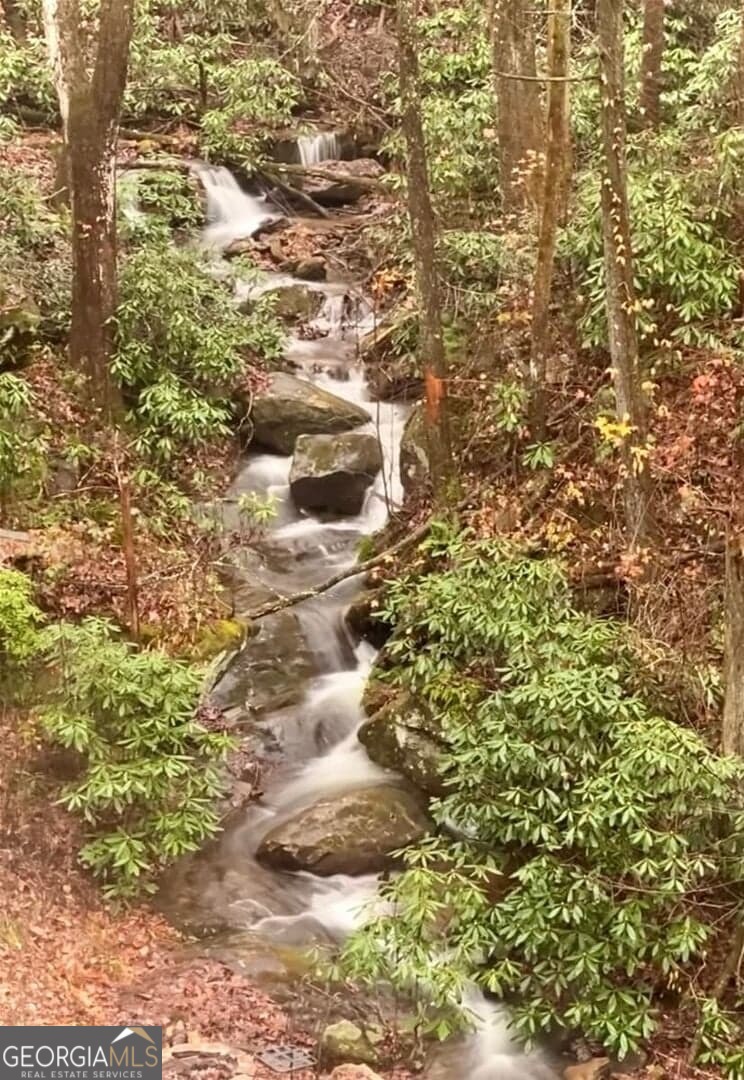130 Mustang Creek Road Cleveland GA 30528
