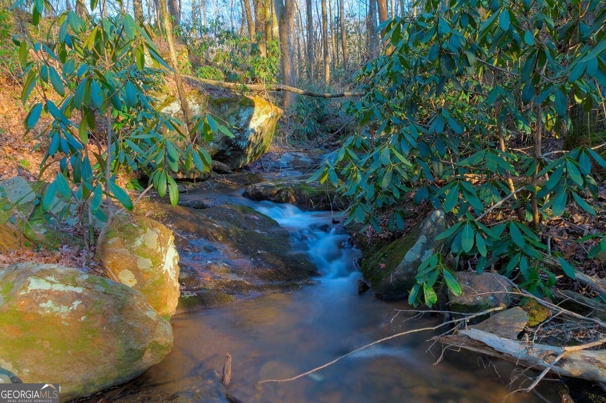 130 Mustang Creek Road Cleveland GA 30528