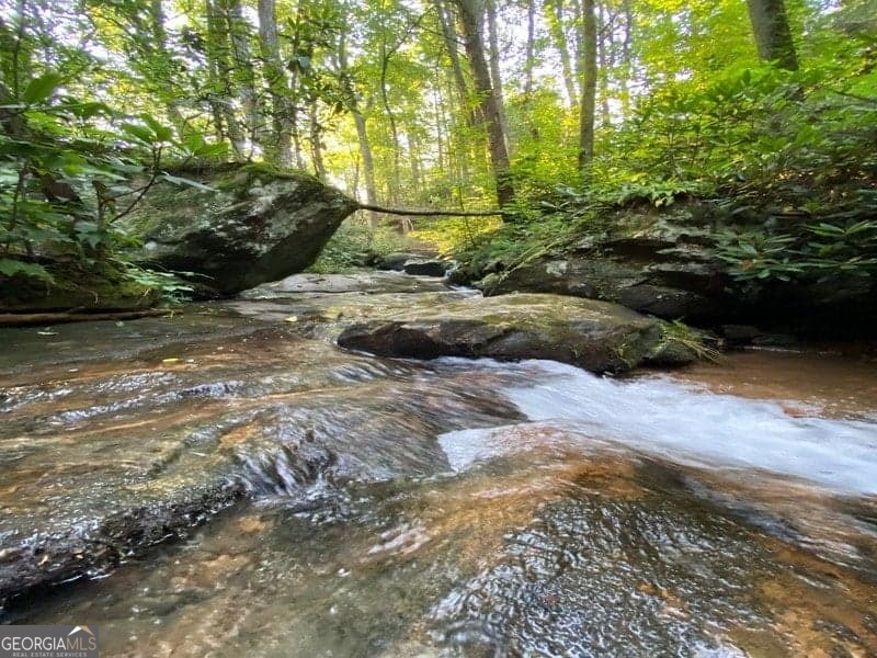 130 Mustang Creek Road Cleveland GA 30528