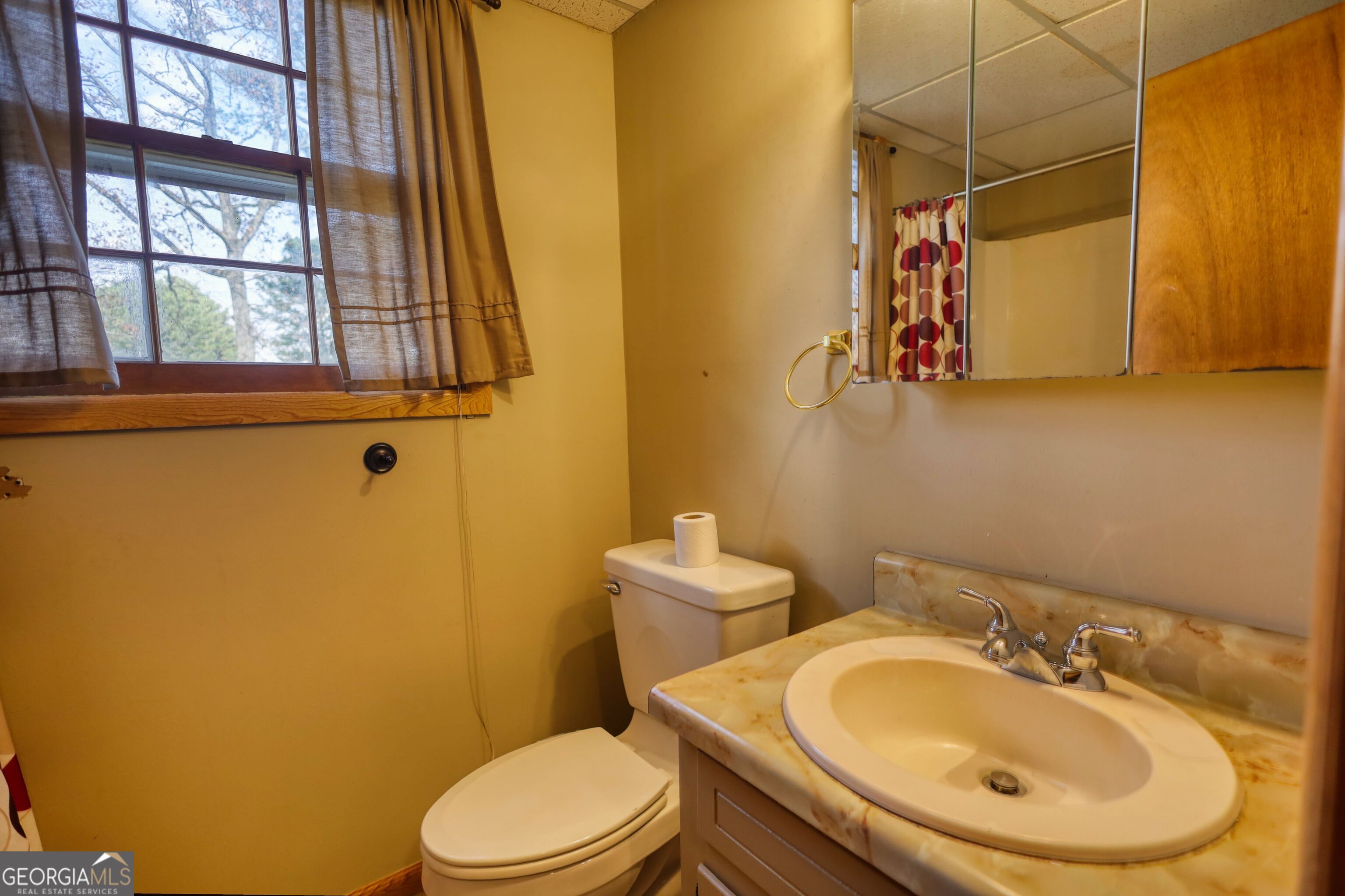 2289 Amberbrook Drive SW Conyers GA 30094
