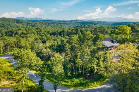 386 Mountain Laurel Ridge Mineral Bluff GA 30559