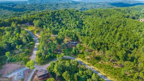386 Mountain Laurel Ridge Mineral Bluff GA 30559