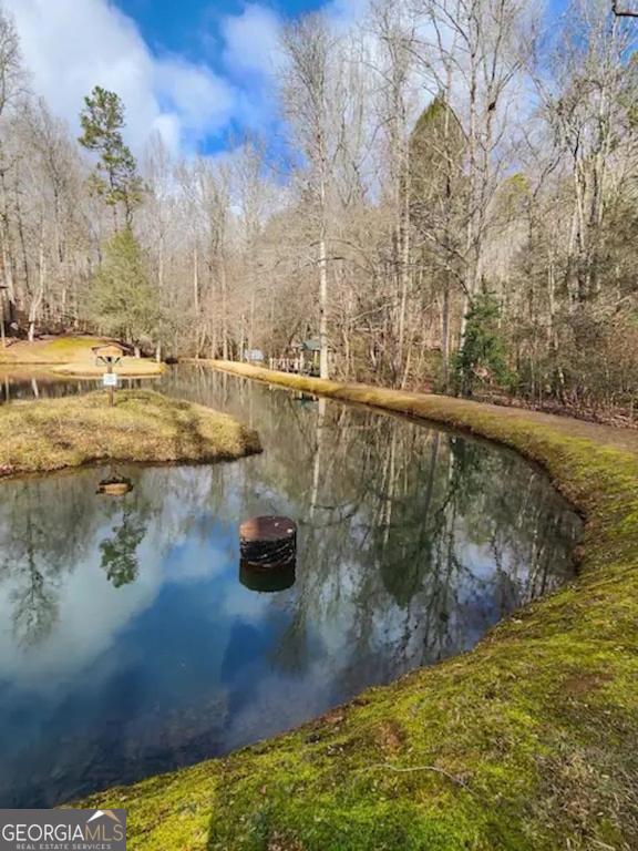 496 Beaver Dam Road Dahlonega GA 30533