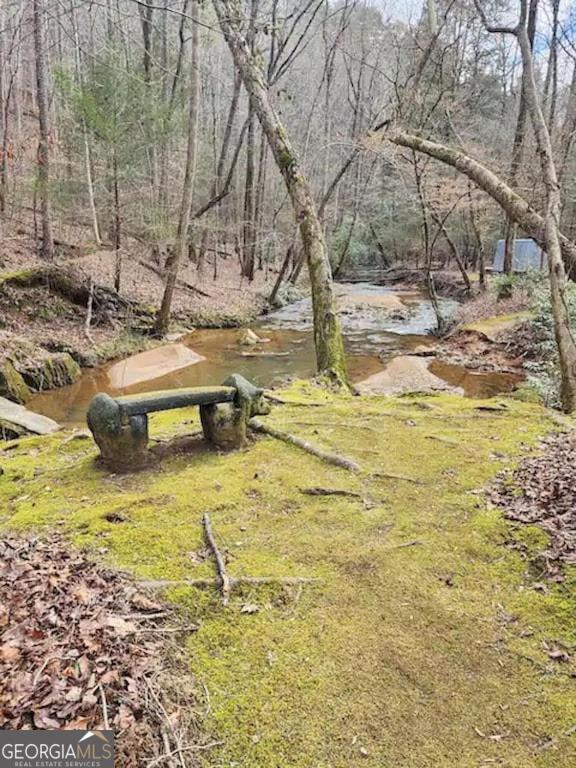 496 Beaver Dam Road Dahlonega GA 30533