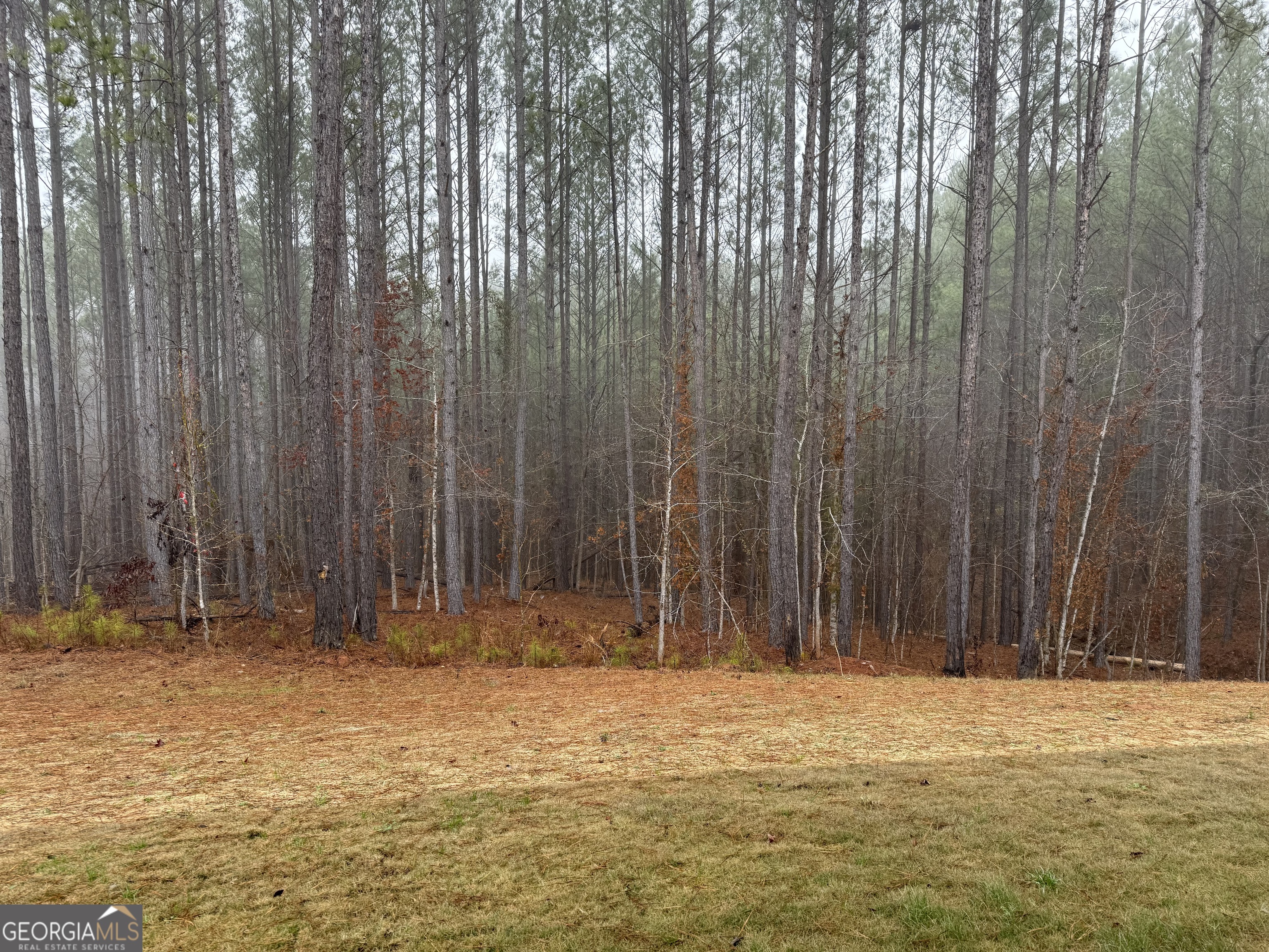 33 Wolf Creek Cove Lagrange GA 30240