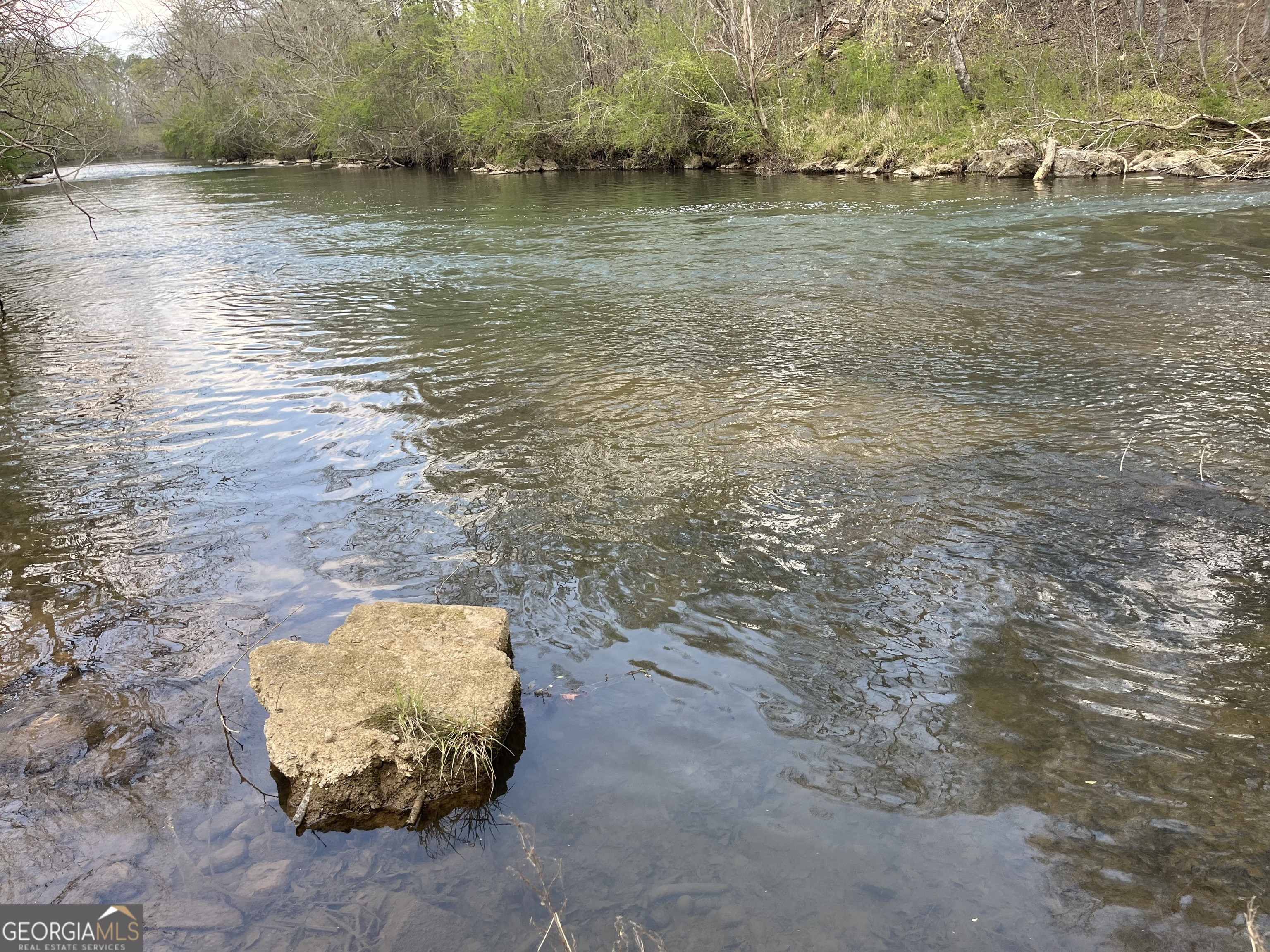 475 Davis Road SW Cave Spring GA 30124