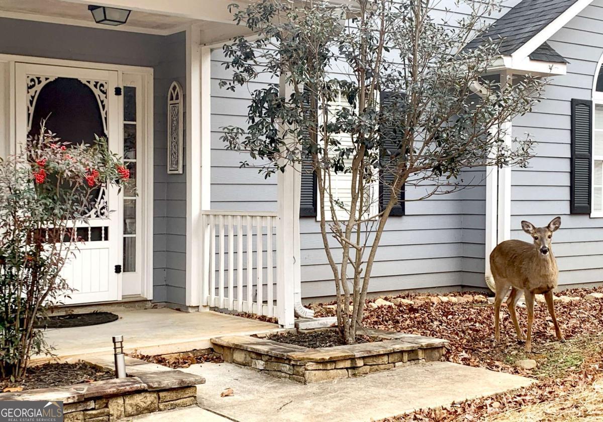 111 Seneca Way Ellijay GA 30540