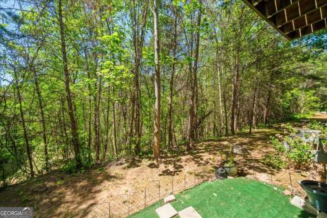 114 Stoneybrook Drive Dahlonega GA 30533