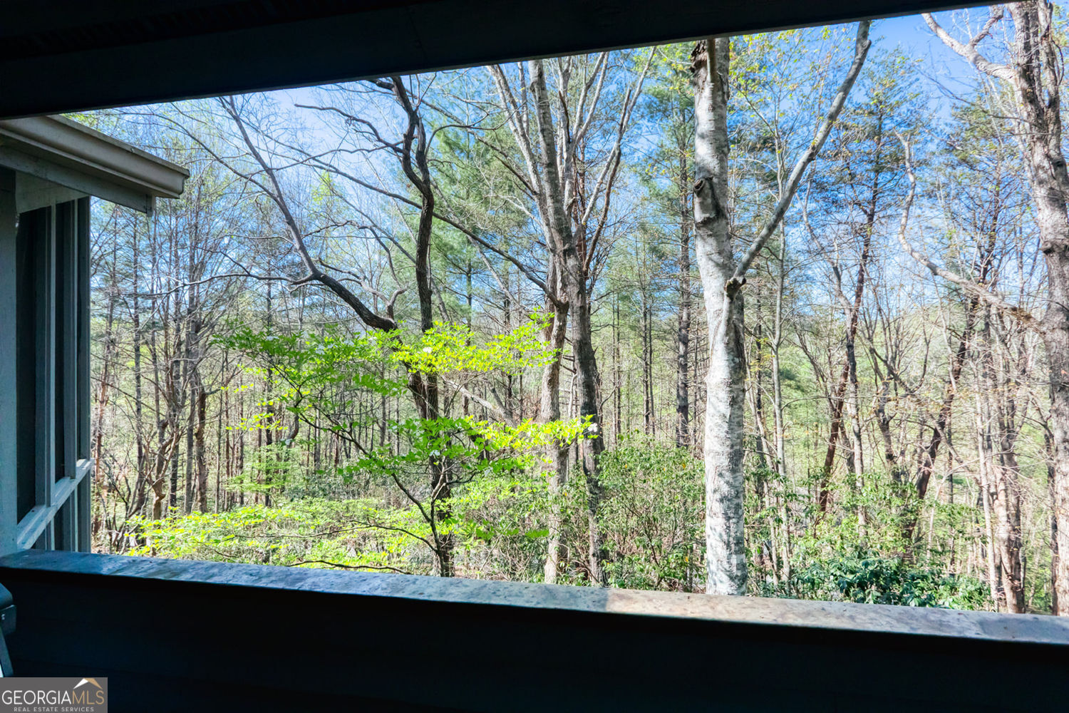 70 Doe Run Sautee Nacoochee GA 30571