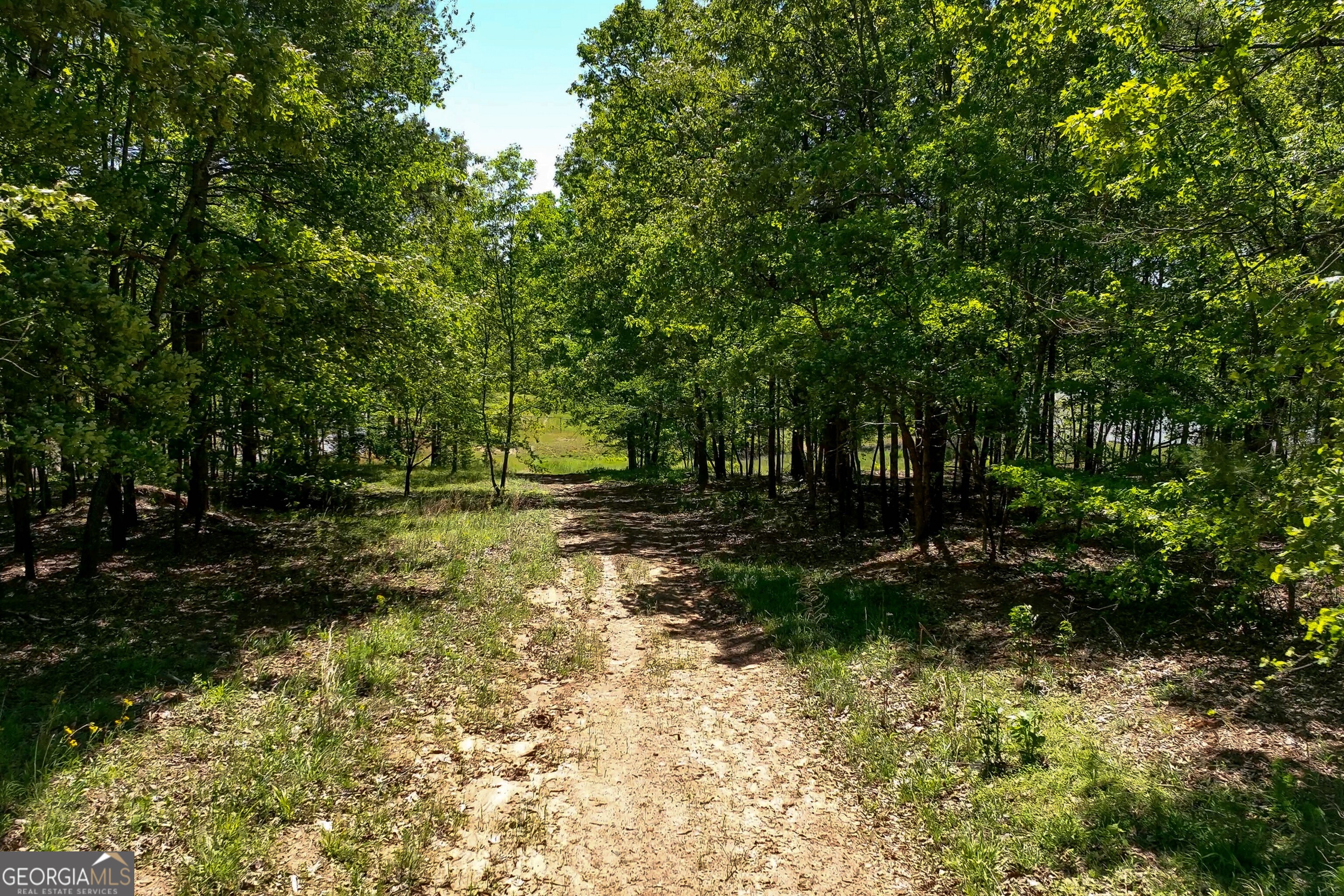 85 Rabun Court Hoschton GA 30548