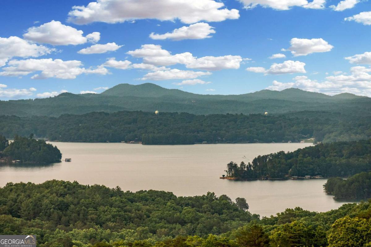 61 Ripshin Heights Blue Ridge GA 30513