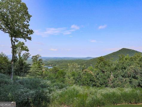 128 Big Stump Mountain Trail Jasper GA 30143