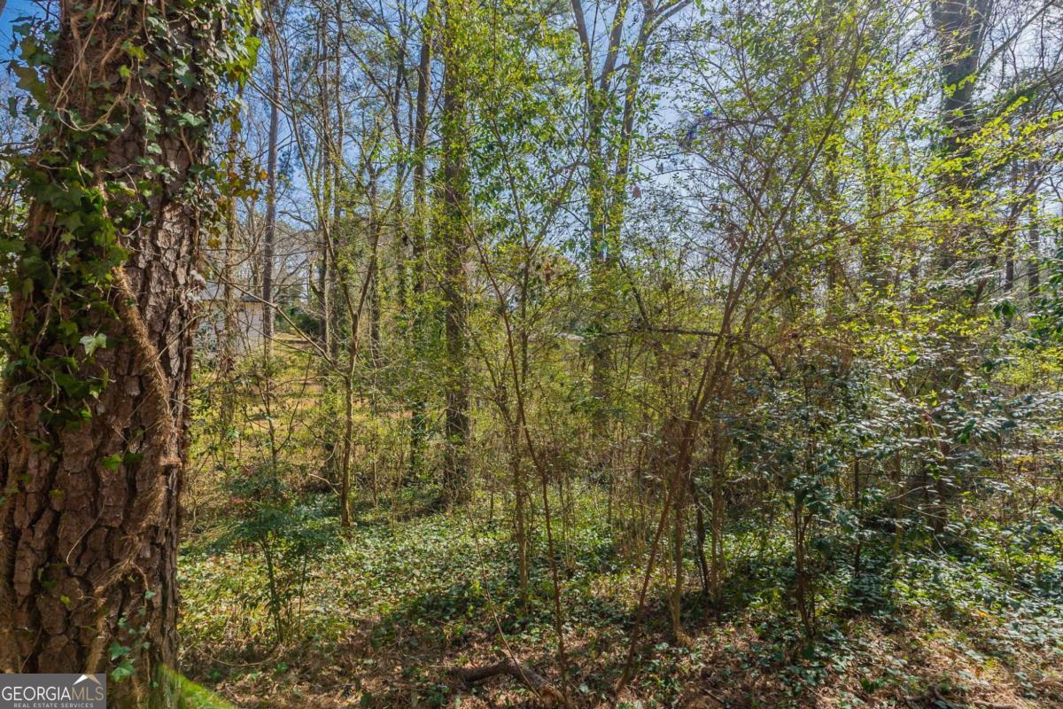 3651 Tulip Drive Decatur GA 30032