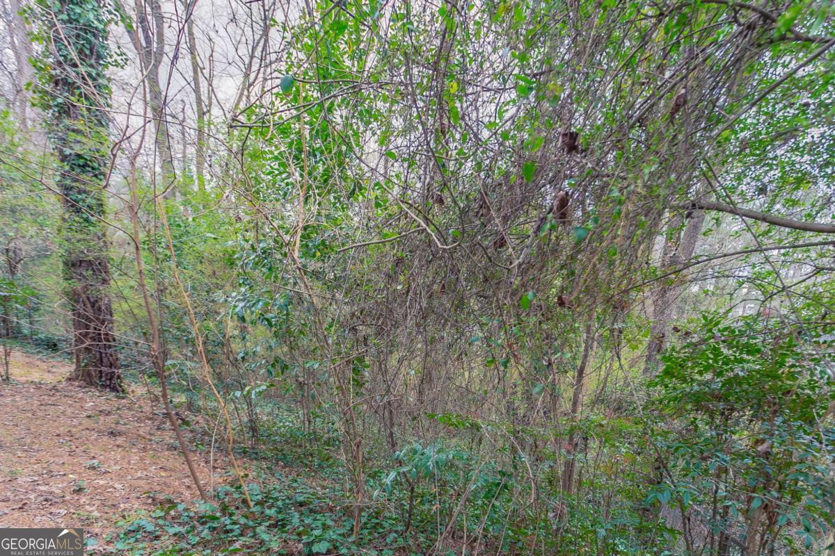 3651 Tulip Drive Decatur GA 30032