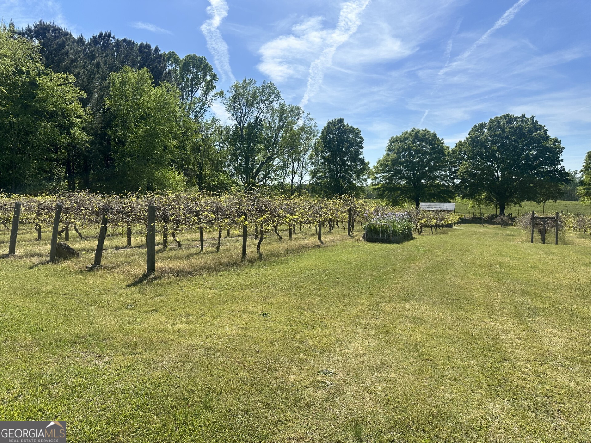 308 Deer Run Williamson GA 30292