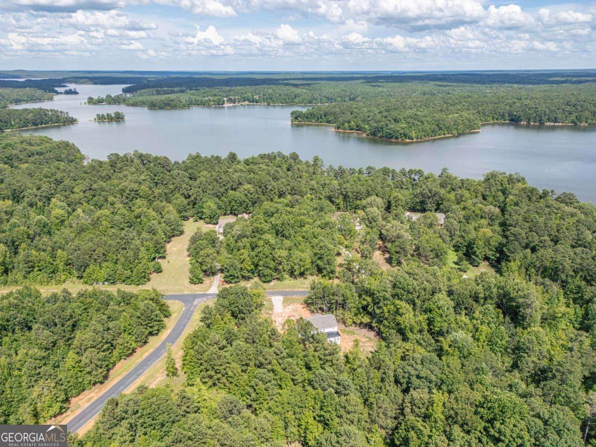 1021 Pointe S Tignall GA 30668