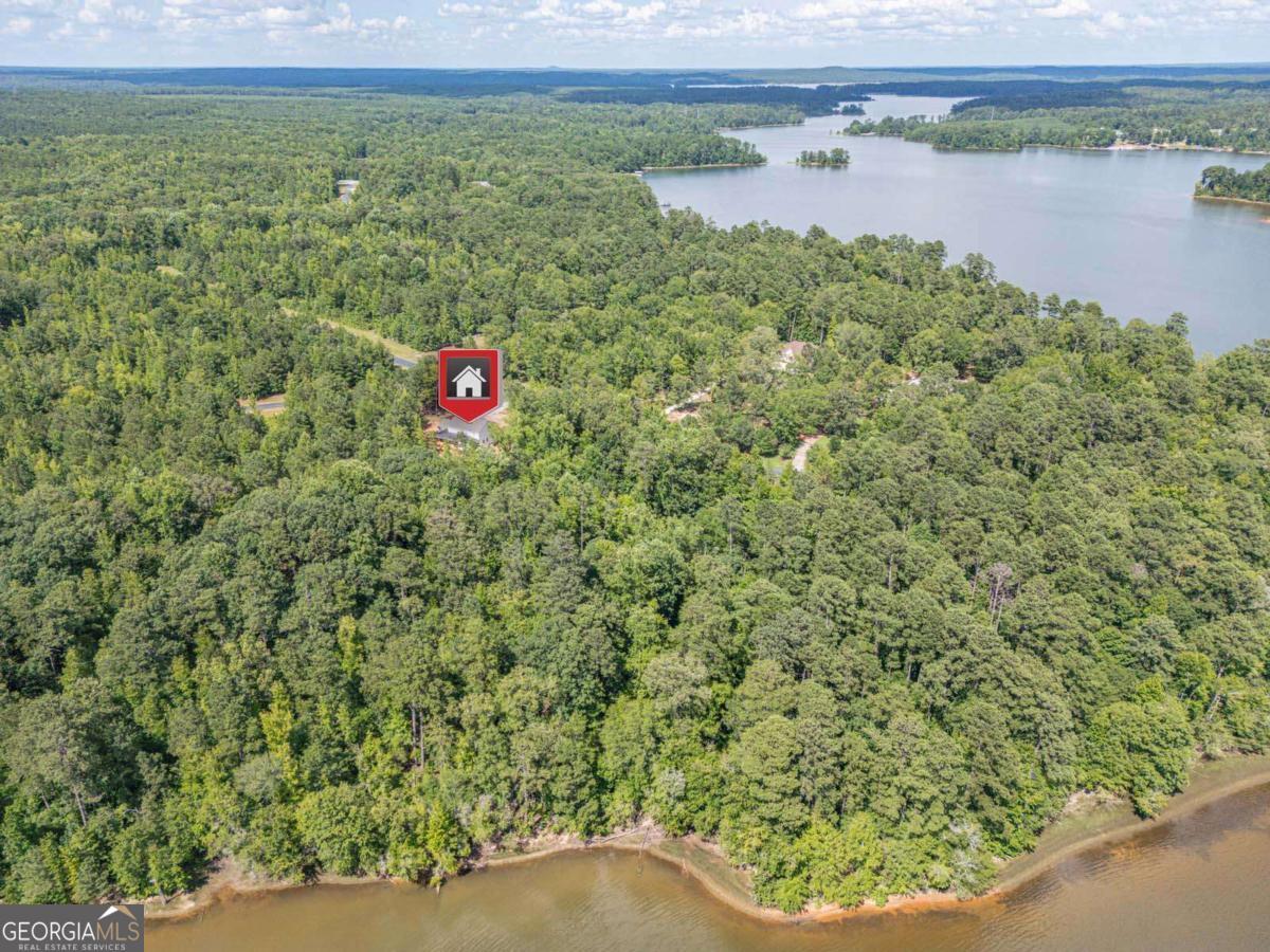 1021 Pointe S Tignall GA 30668