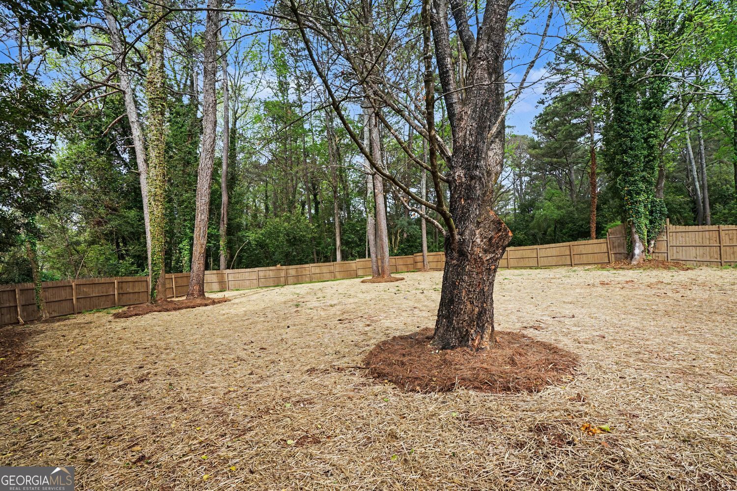 577 Simone Way Stone Mountain GA 30087
