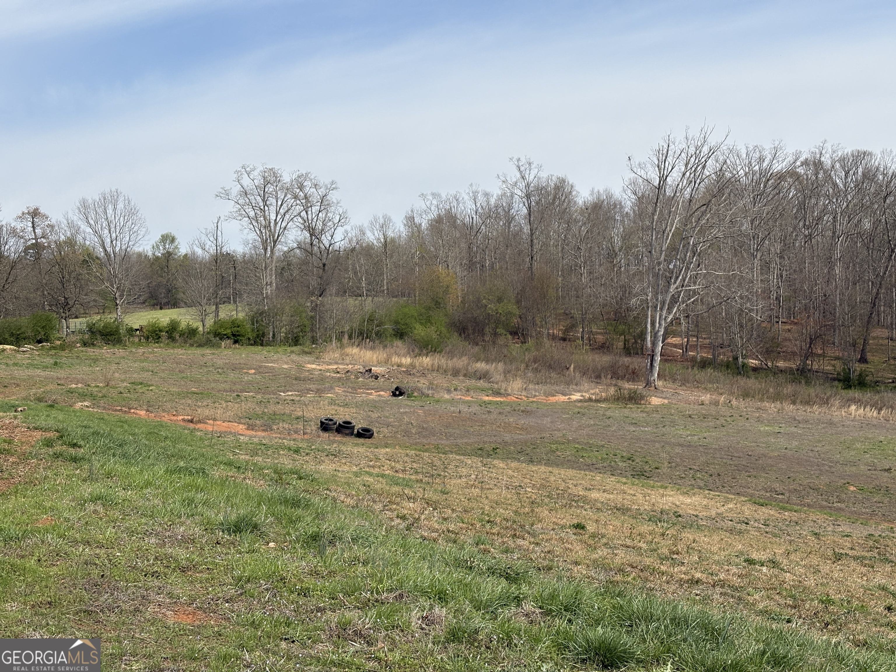 2007 N Akins Bridge Road Eastanollee GA 30538