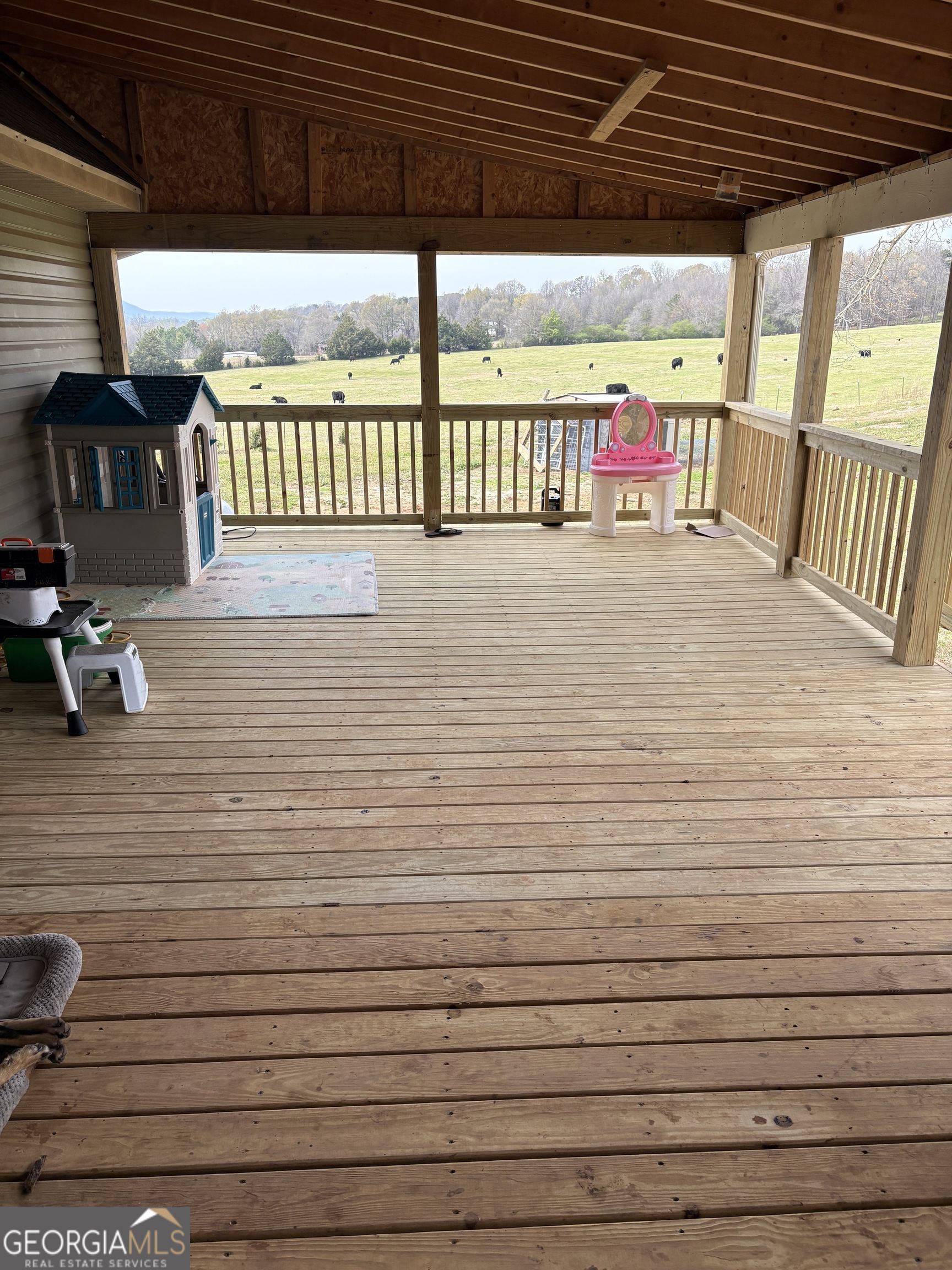 2007 N Akins Bridge Road Eastanollee GA 30538