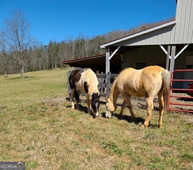 137 Blue Spruce Drive Blairsville GA 30512