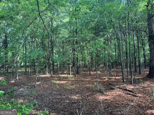 319 E Mccarty Street Sandersville GA 31082